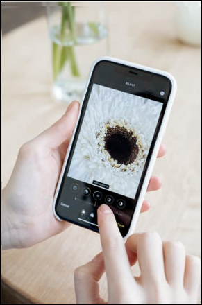 Mobile Phone Icon