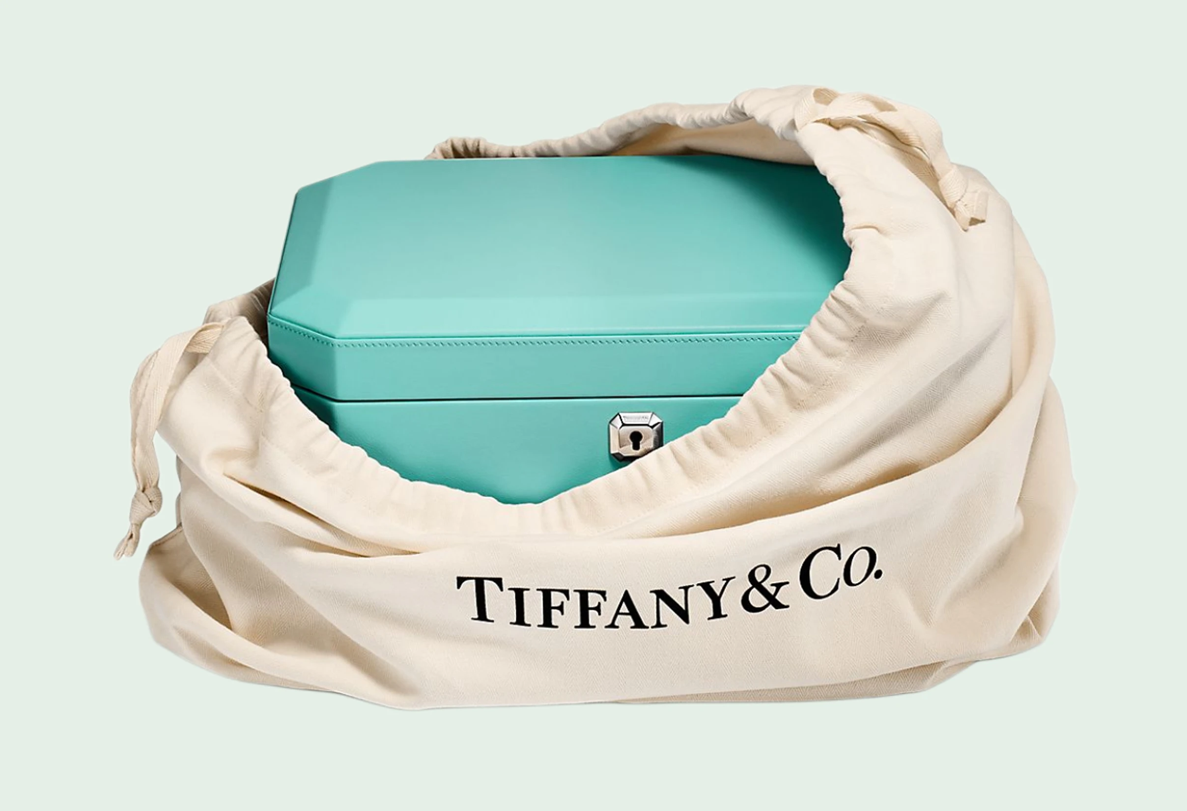 Unveiling Authenticity: A Practical Guide on How to Spot a Fake Tiffany Necklace