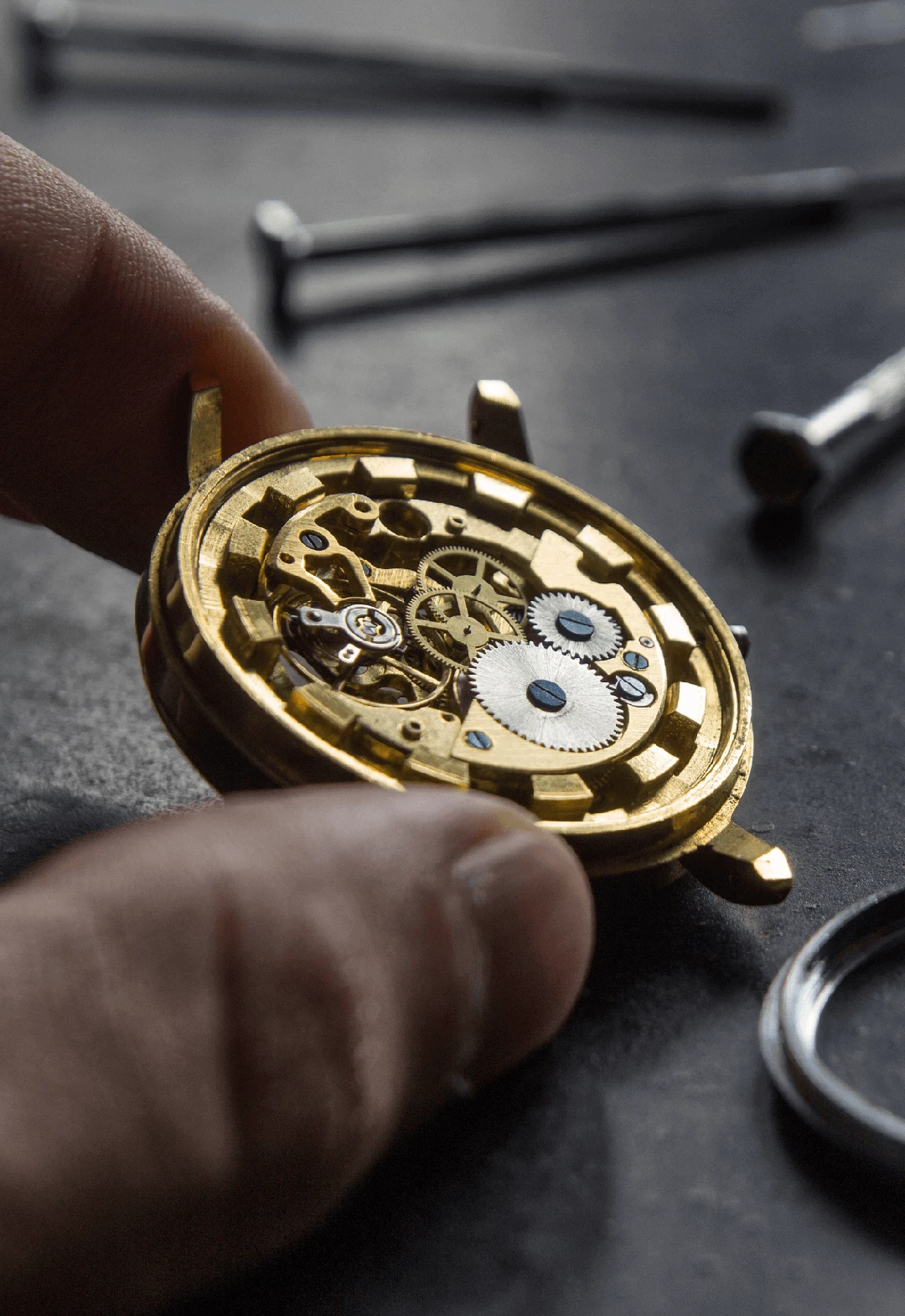Timeless Elegance: A Journey Through the World of Watches