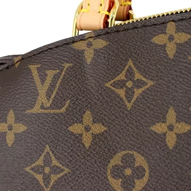 Louis Vuitton Monogram Canvas Petit Palais Bag