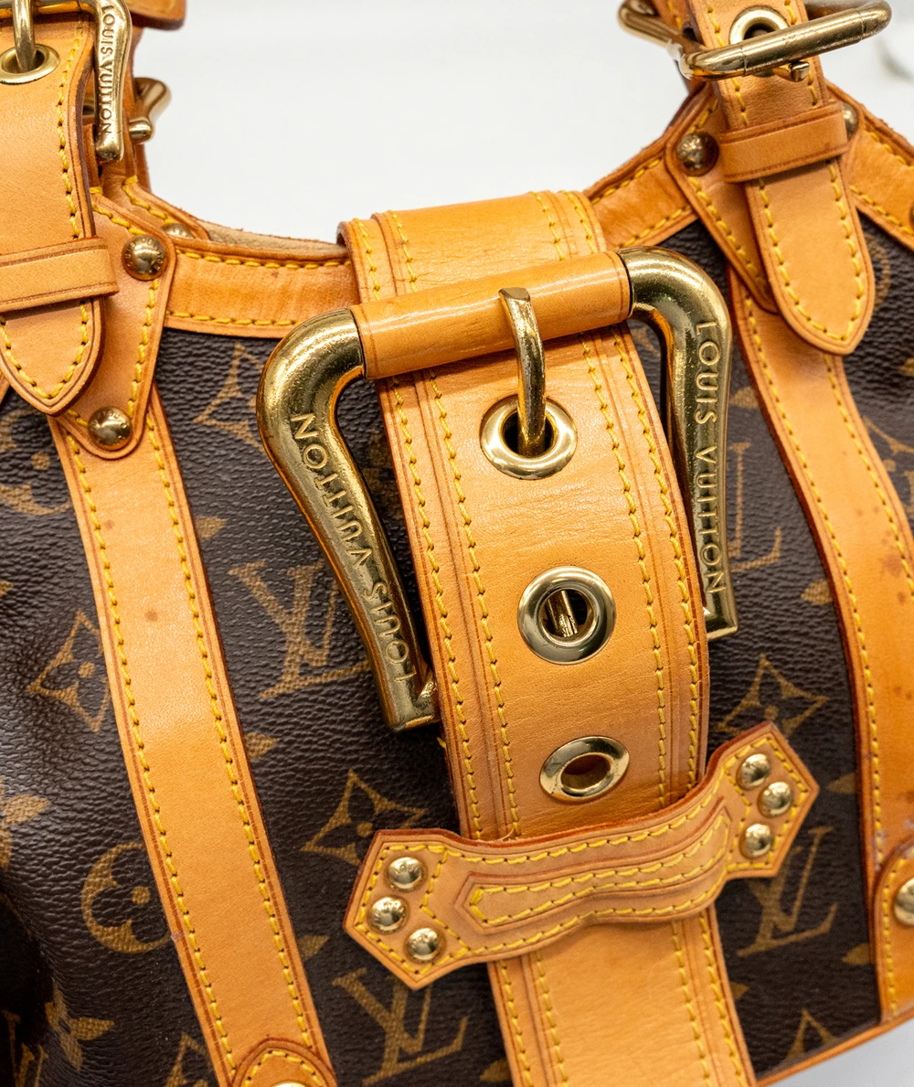 Louis Vuitton Monogram Canvas Theda GM Bag