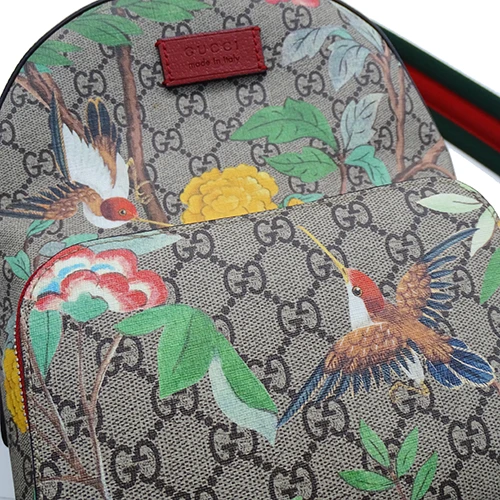 Gucci Beige Red GG Supreme Canvas and Leather Tian Print Backpack