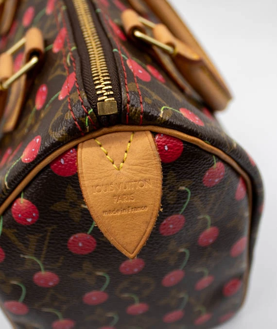 Louis Vuitton Monogram Cherry Speedy 25 Bag