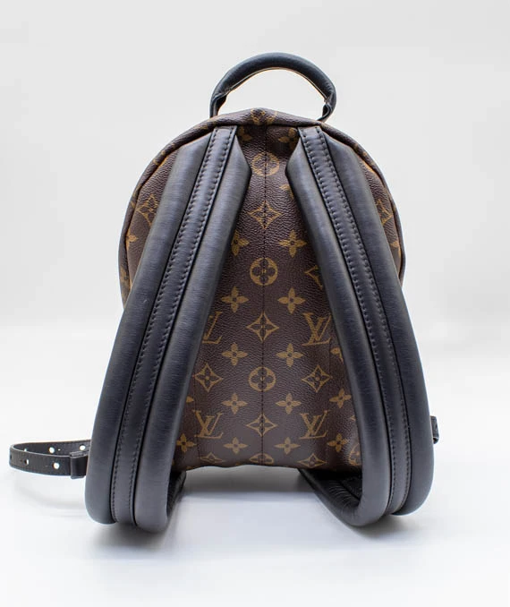 Louis Vuitton Monogram Reverse Palm Springs PM Backpack