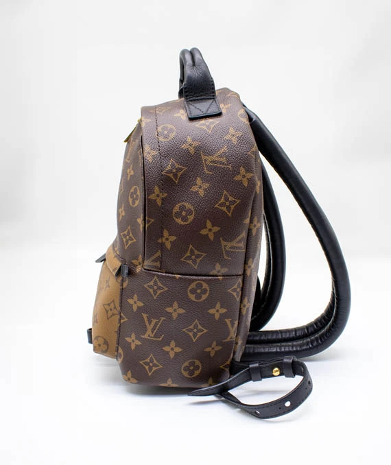 Louis Vuitton Monogram Reverse Palm Springs PM Backpack