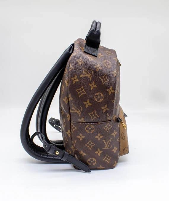 Louis Vuitton Monogram Reverse Palm Springs PM Backpack