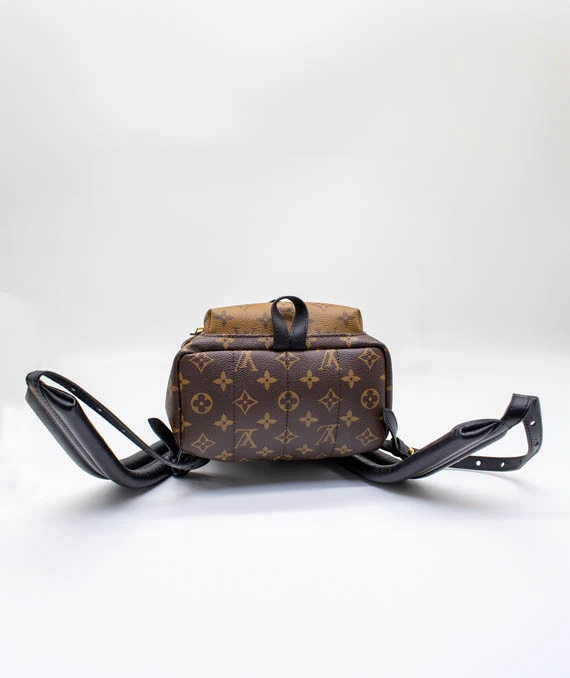 Louis Vuitton Monogram Reverse Palm Springs PM Backpack