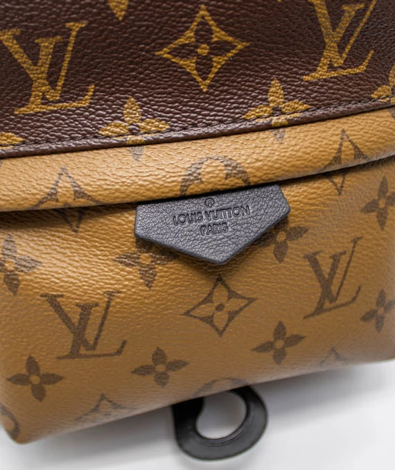 Louis Vuitton Monogram Reverse Palm Springs PM Backpack