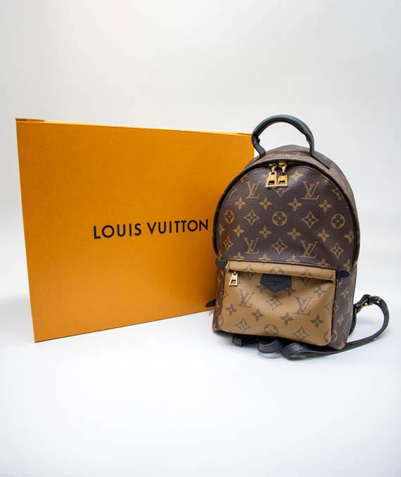 Louis Vuitton Monogram Reverse Palm Springs PM Backpack