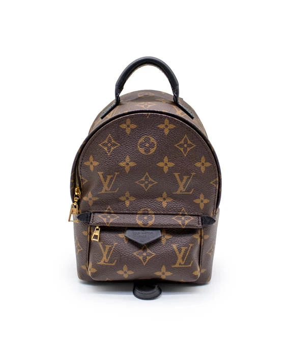 Louis Vuitton Palm Springs Mini Backpack