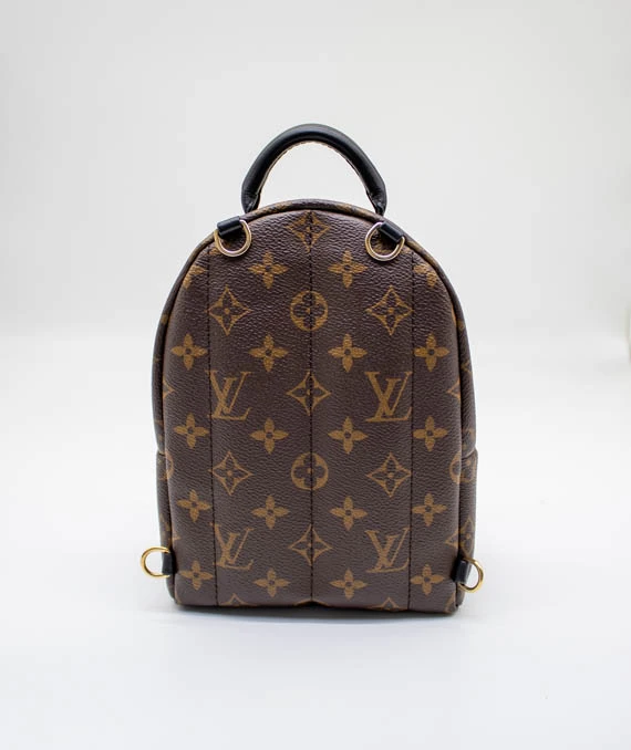 Louis Vuitton Palm Springs Mini Backpack