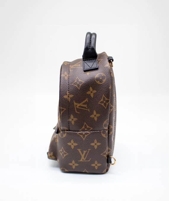 Louis Vuitton Palm Springs Mini Backpack