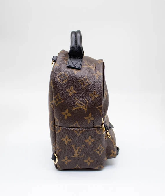 Louis Vuitton Palm Springs Mini Backpack