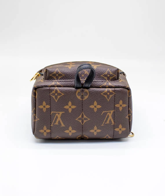 Louis Vuitton Palm Springs Mini Backpack