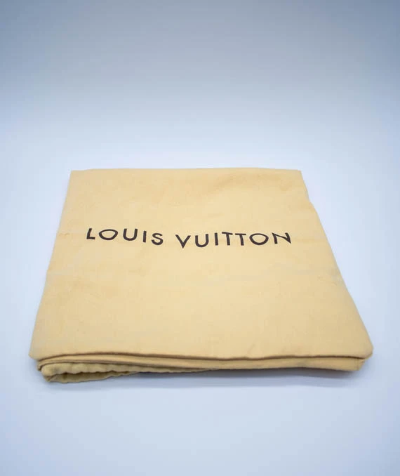 Louis Vuitton Palm Springs Mini Backpack