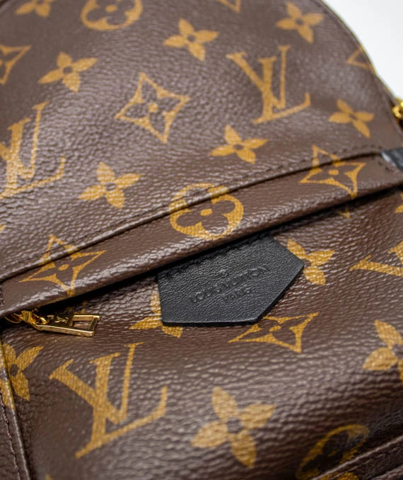 Louis Vuitton Palm Springs Mini Backpack