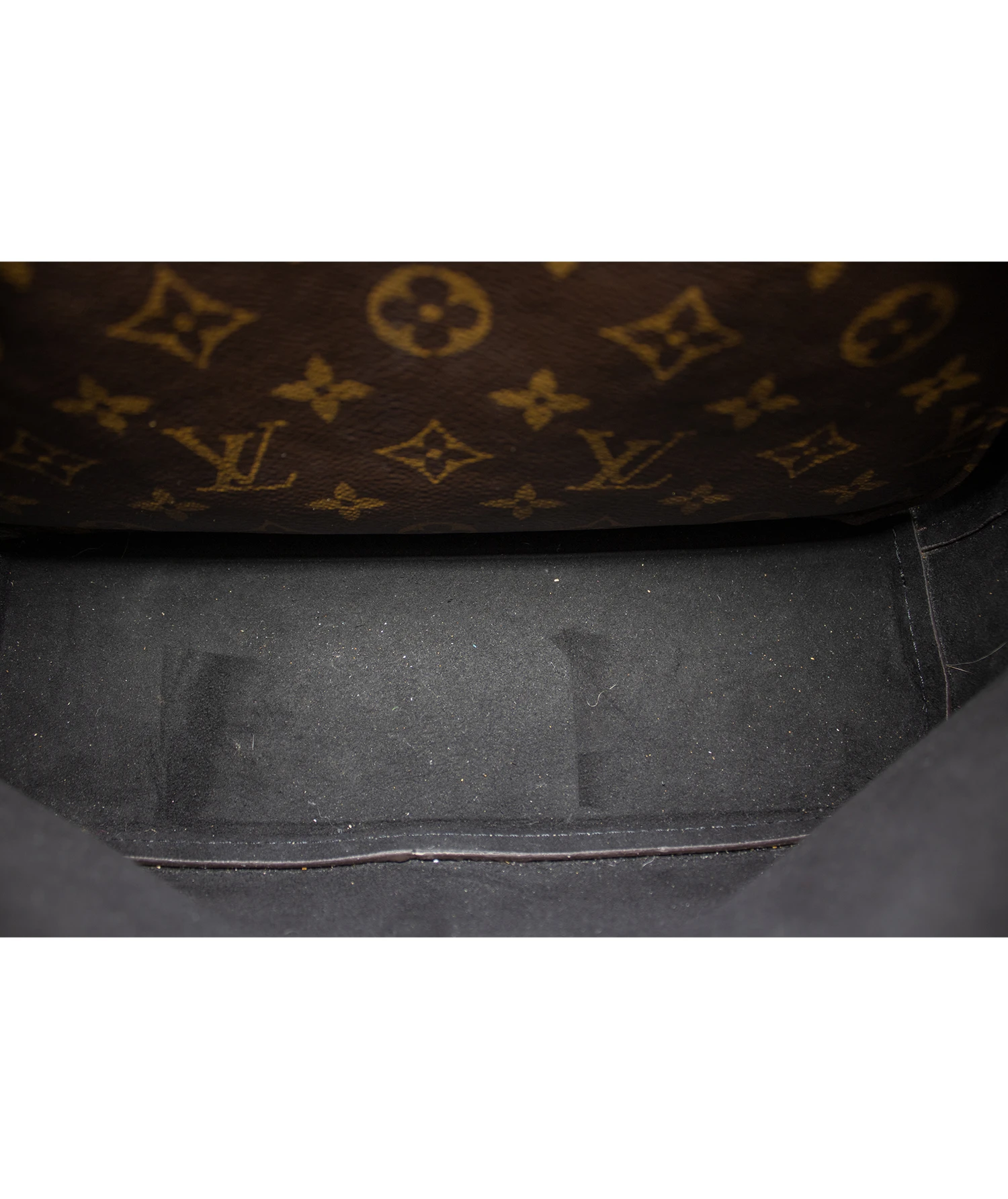 Louis Vuitton Monogram NeoNoe BB