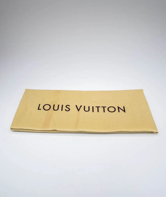 Louis Vuitton Monogram Canvas Papillon 26 bag