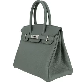 Hermes Birkin 30 Togo Vert Amandes Silver Hardware Hermes Handbag