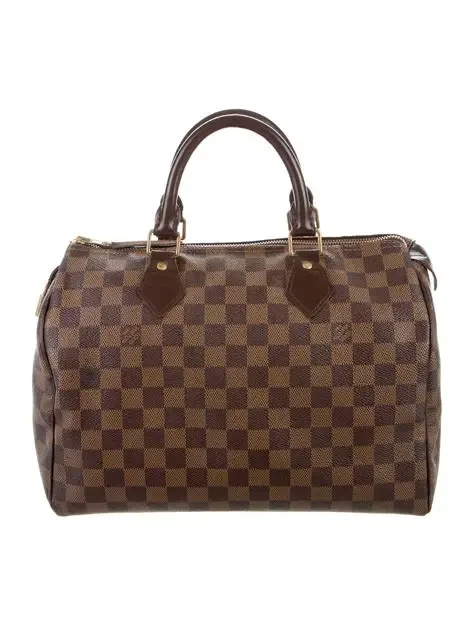Louis Vuitton Speedy 30 Damier Ebene handbag