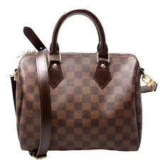 Louis Vuitton Speedy 25 Damier Ebene handbag
