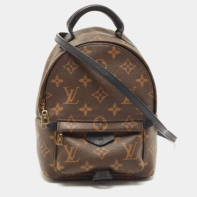 Louis Vuitton Palm Springs Mini Backpack