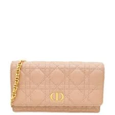 Dior Rose De Vents Caro Pouch With Chain