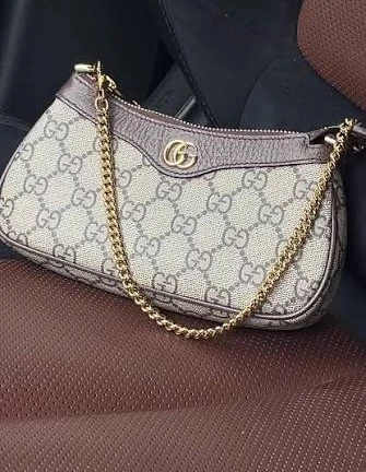 Gucci Ophidia Bicolor Mini Bag