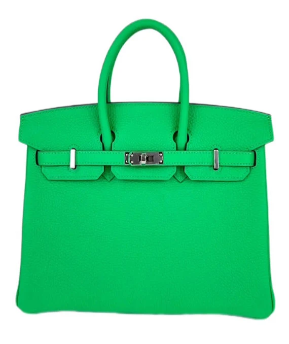 HERMES 2023 Birkin 25 Vert Comics Color Handbag in Togo Leather with Palladium Hardware