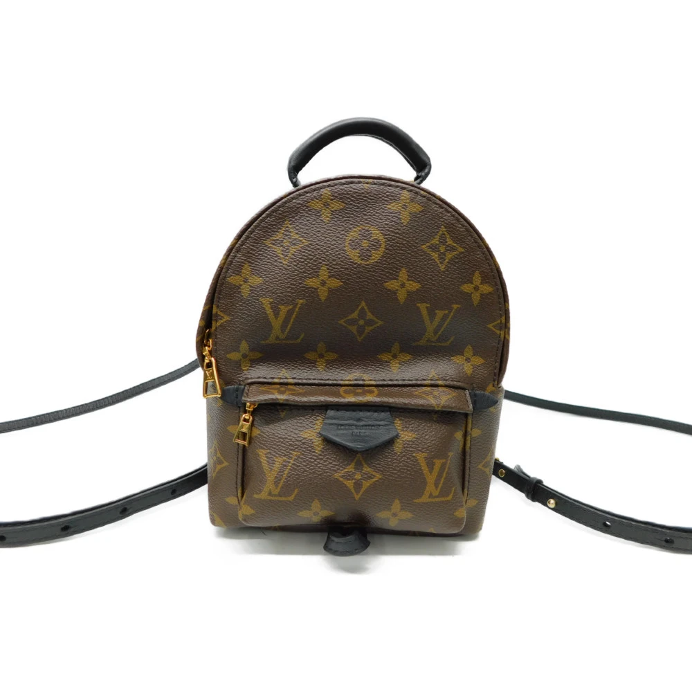 Louis Vuitton Palm Springs Mini Backpack