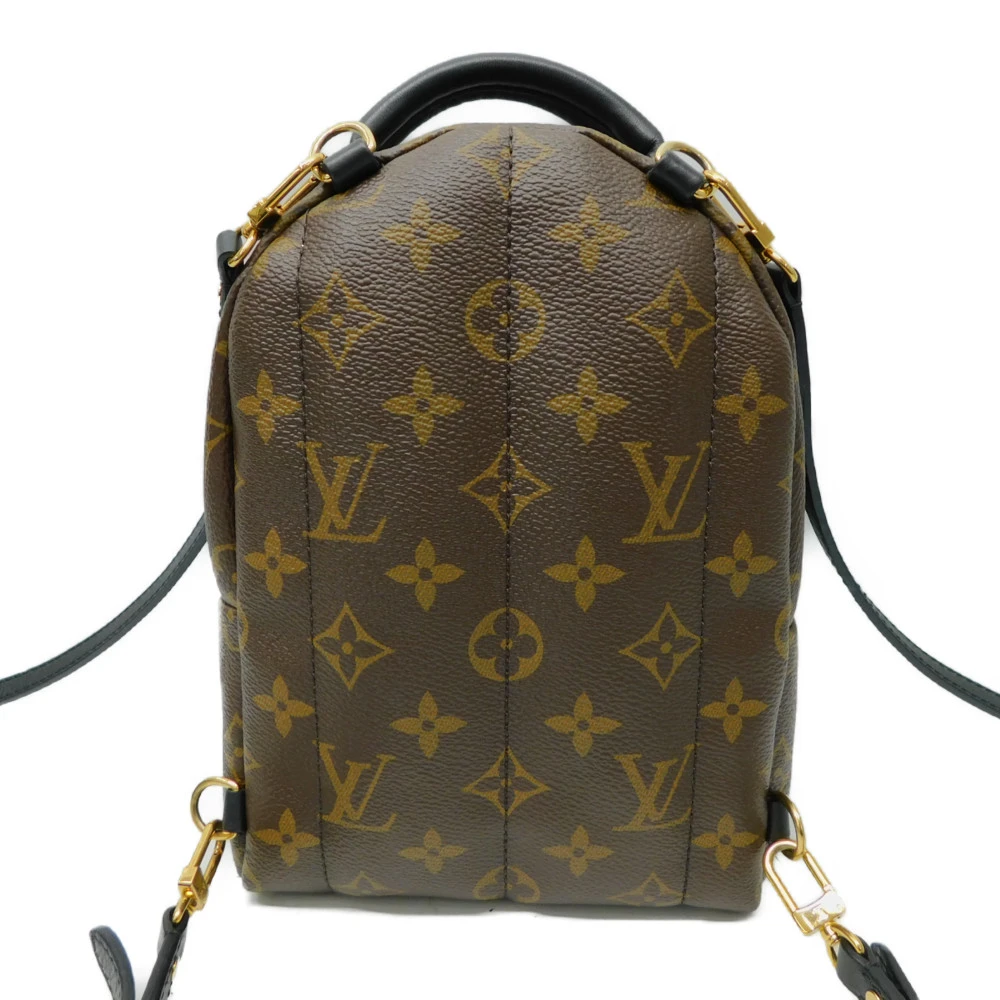 Louis Vuitton Palm Springs Mini Backpack