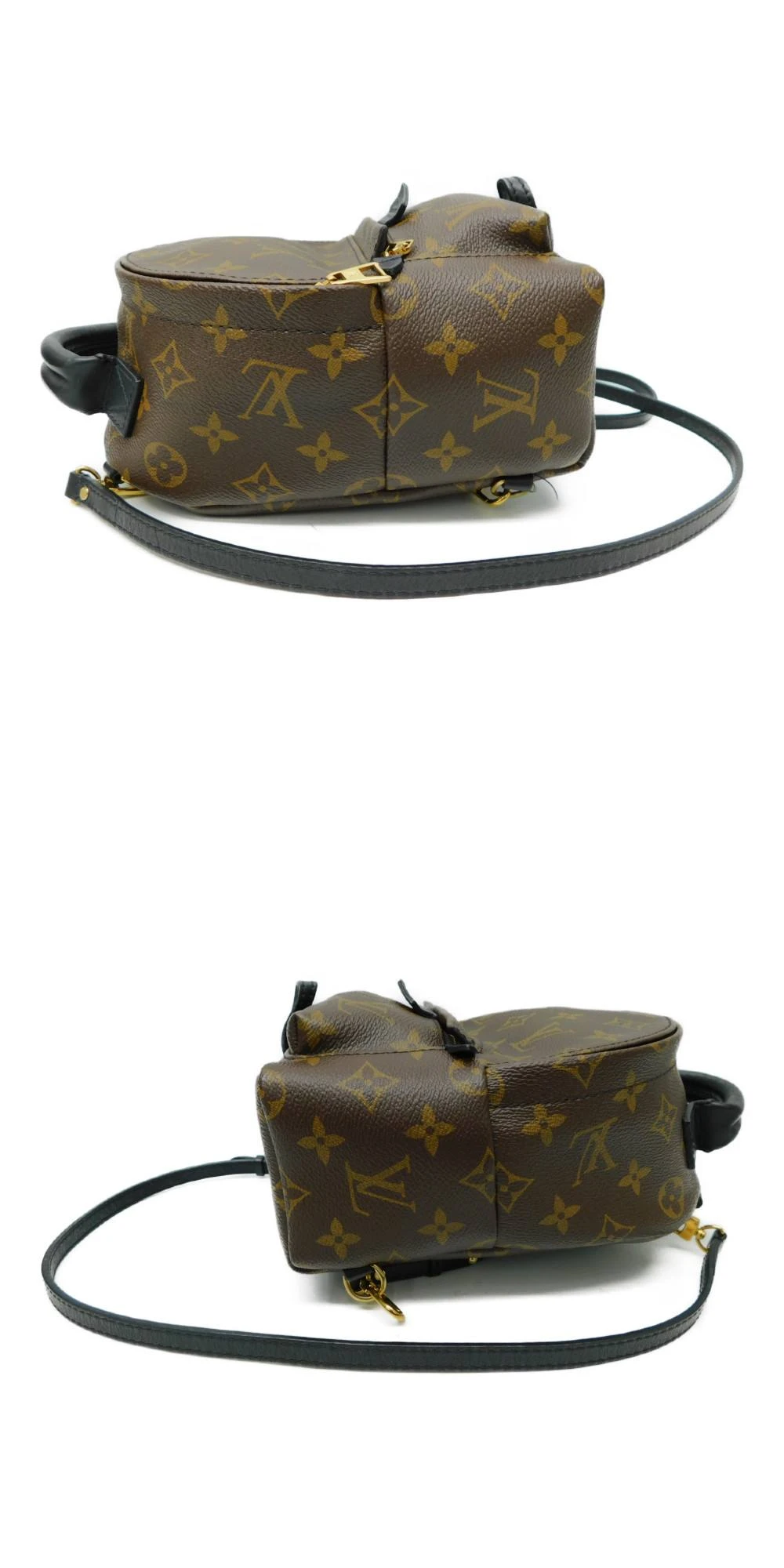 Louis Vuitton Palm Springs Mini Backpack