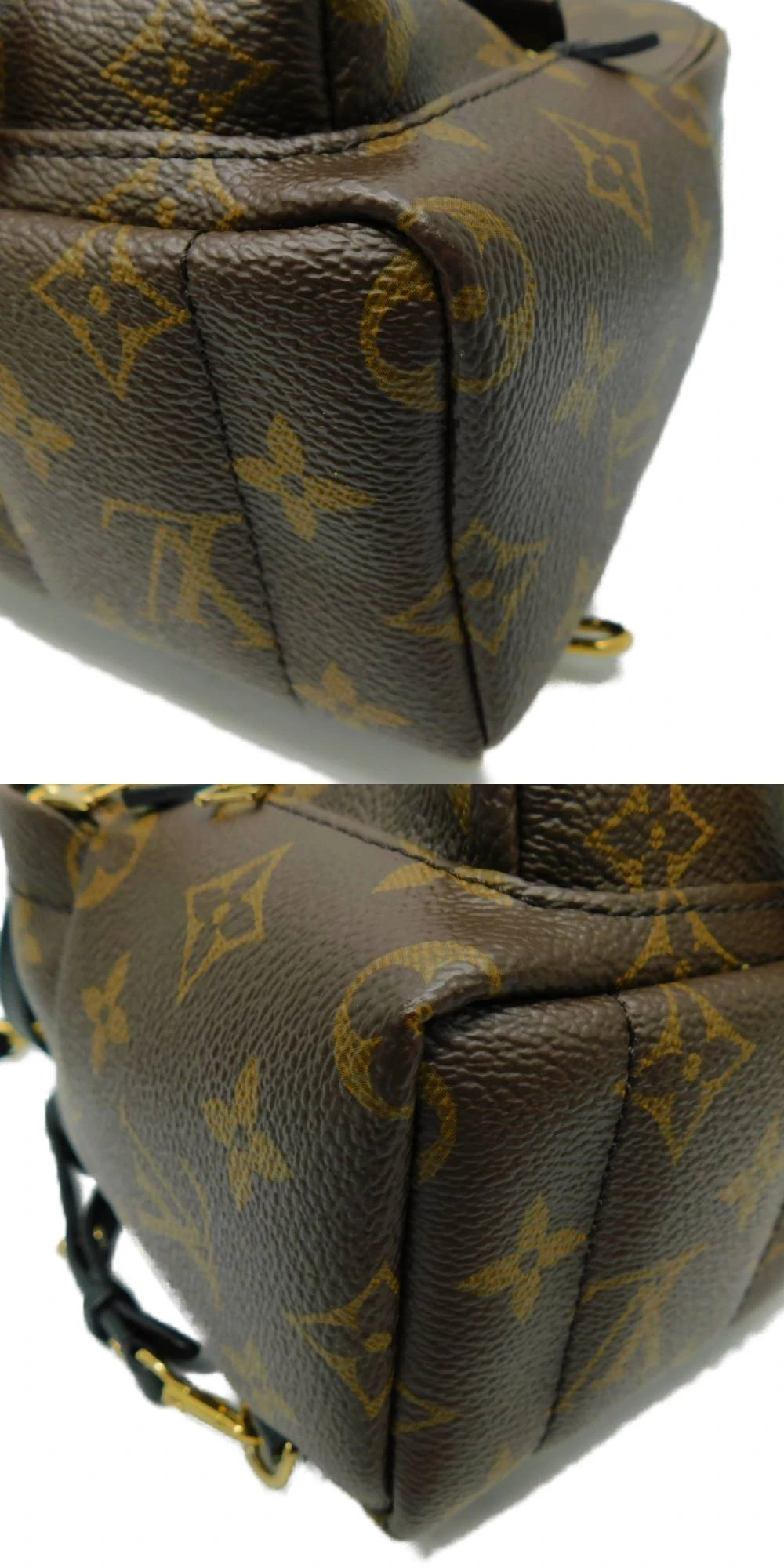 Louis Vuitton Palm Springs Mini Backpack