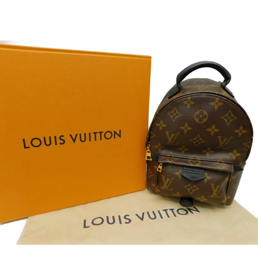 Louis Vuitton Palm Springs Mini Backpack