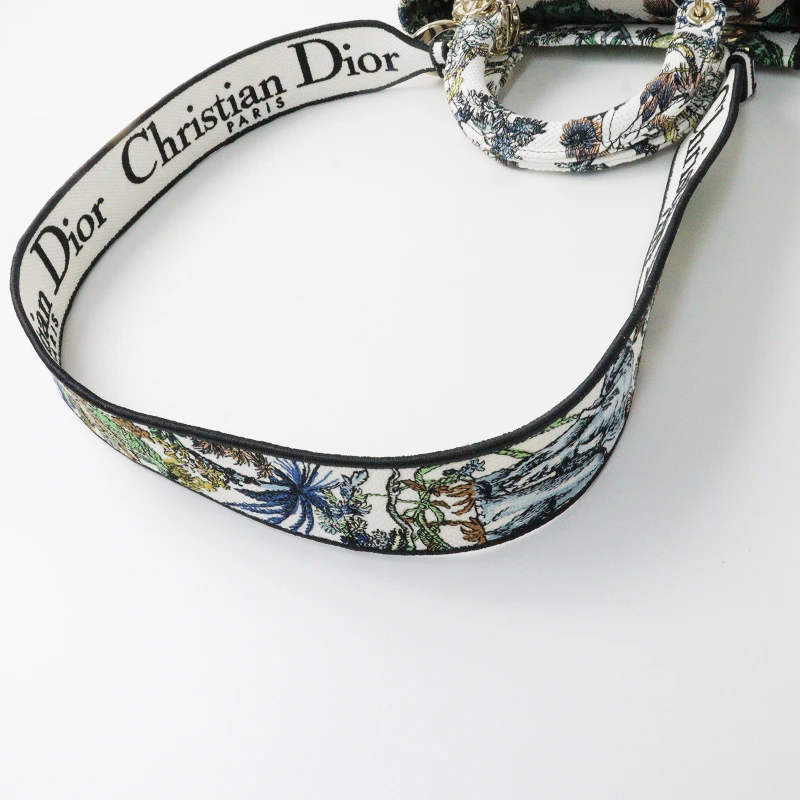 Christian Dior Multicolor Étoile de Voyage Embroidery Lady D-Lite Medium Bag